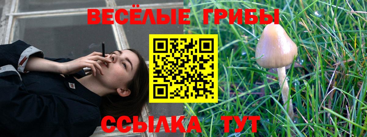 Галлюциногенные грибы GOLDEN TEACHER Можга