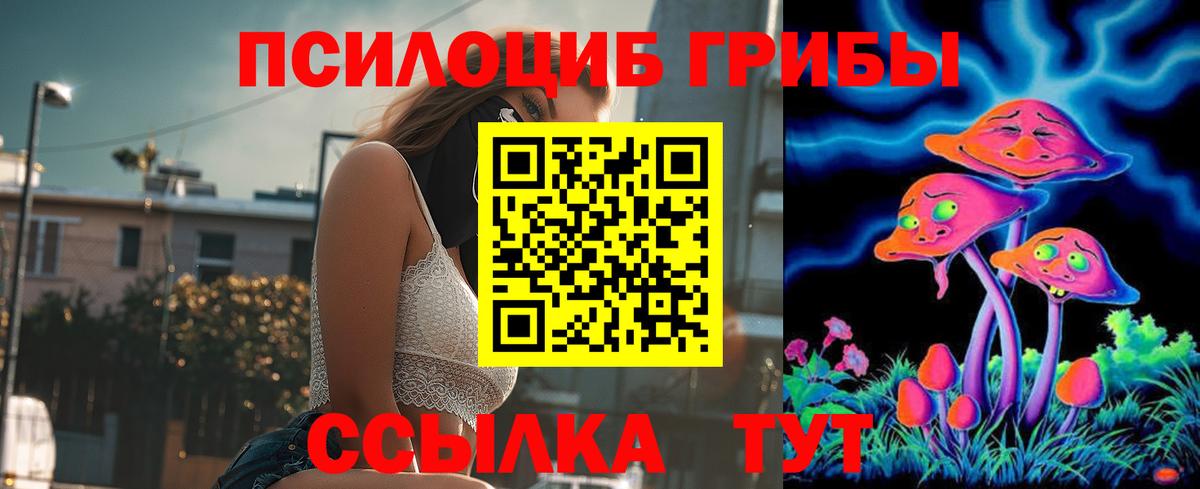 Можга  Галлюциногенные грибы Magic Shrooms  где купить наркоту  Вход с VPN 
